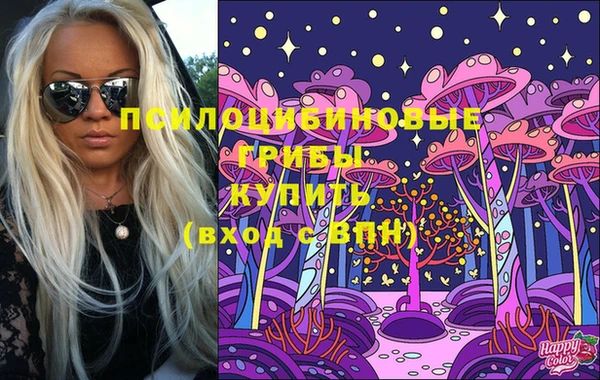 амф Алексеевка