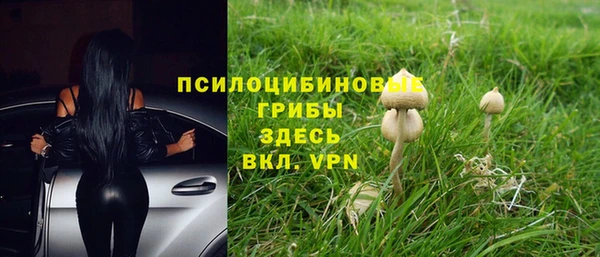 амф Алексеевка