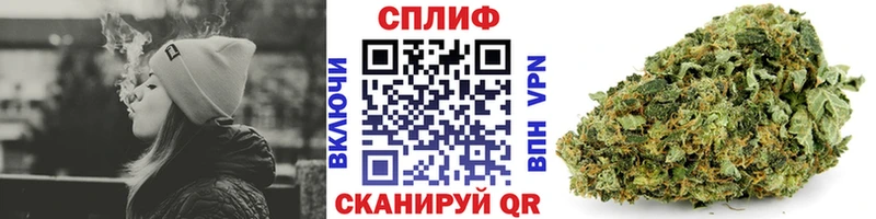 купить сайты Борзя Шишки марихуана ГИДРОПОН