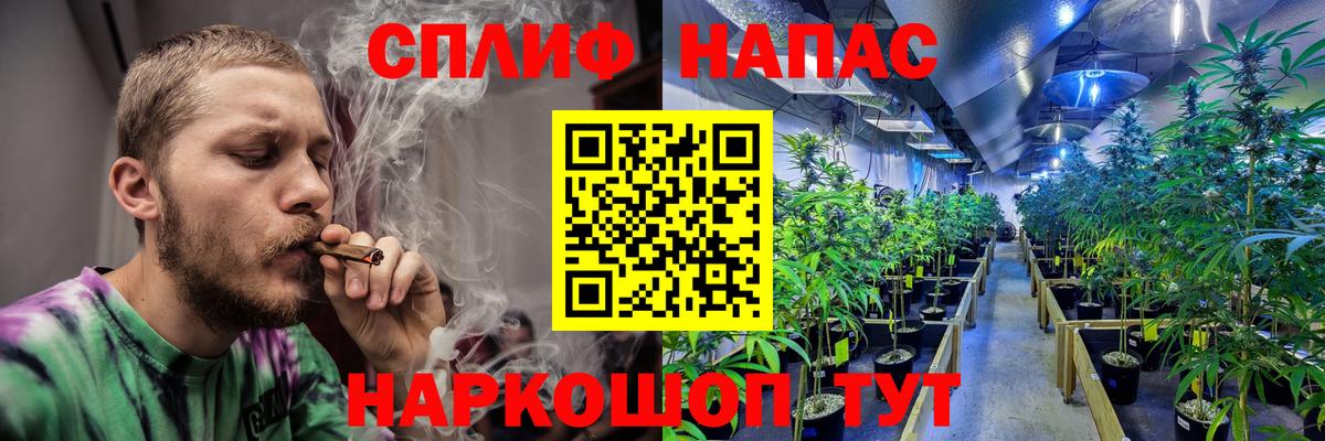 Бошки Шишки семена  Шишки марихуана ГИДРОПОН  Бошки Шишки Bruce Banner  Вход с VPN  Борзя 